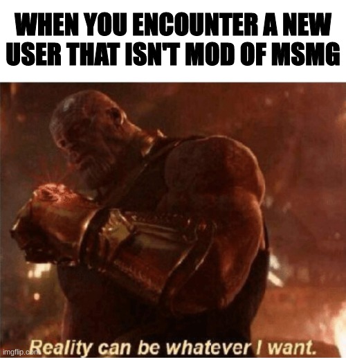i can ban them and nobody would notice | WHEN YOU ENCOUNTER A NEW USER THAT ISN'T MOD OF MSMG | image tagged in reality can be whatever i want | made w/ Imgflip meme maker