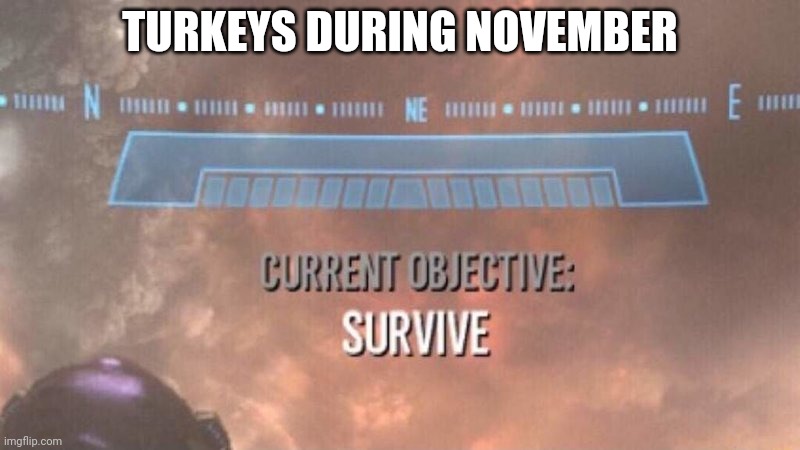 Gobble | TURKEYS DURING NOVEMBER | image tagged in current objective survive,november | made w/ Imgflip meme maker