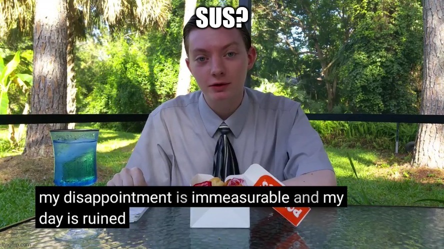 My Disappointment Is Immeasurable | SUS? | image tagged in my disappointment is immeasurable | made w/ Imgflip meme maker