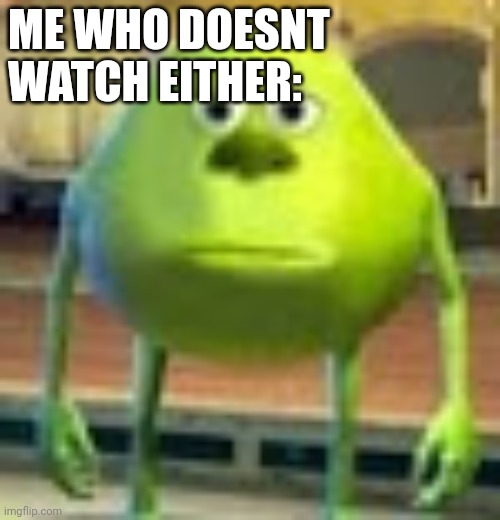 Sully Wazowski | ME WHO DOESNT WATCH EITHER: | image tagged in sully wazowski | made w/ Imgflip meme maker