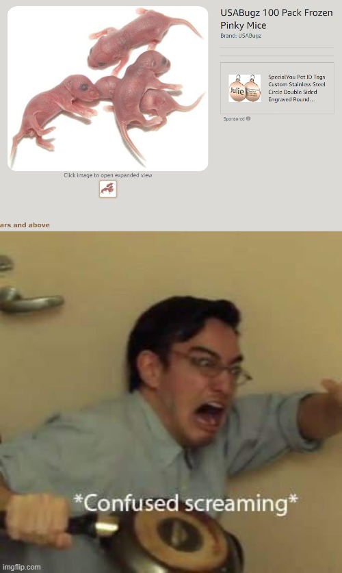 Is that for bait or food???? | image tagged in filthy frank confused scream | made w/ Imgflip meme maker