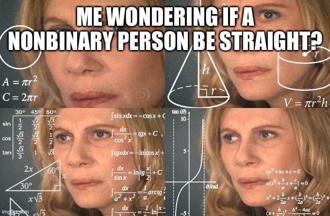 But can they? | ME WONDERING IF A NONBINARY PERSON BE STRAIGHT? | image tagged in calculating meme | made w/ Imgflip meme maker