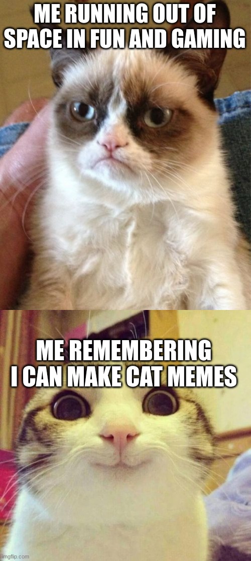 ME RUNNING OUT OF SPACE IN FUN AND GAMING; ME REMEMBERING I CAN MAKE CAT MEMES | image tagged in memes,grumpy cat,smiling cat | made w/ Imgflip meme maker
