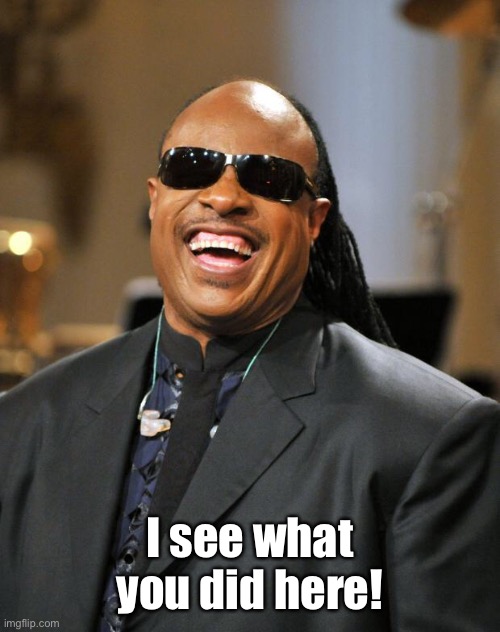 Stevie Wonder | I see what you did here! | image tagged in stevie wonder | made w/ Imgflip meme maker