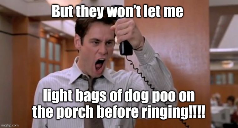 Stop breaking the law asshole | But they won’t let me light bags of dog poo on the porch before ringing!!!! | image tagged in stop breaking the law asshole | made w/ Imgflip meme maker