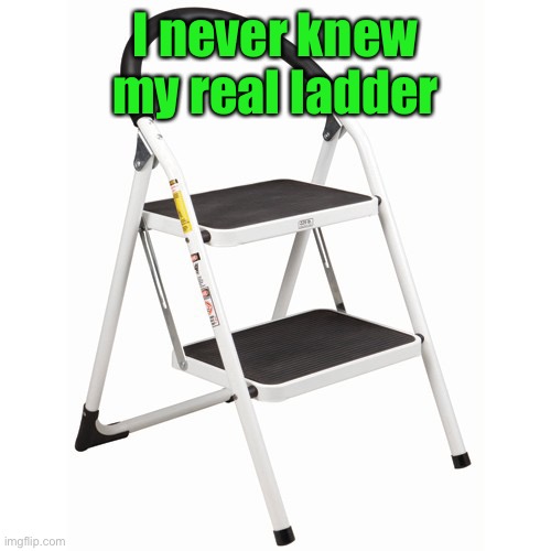 Step Ladder | I never knew my real ladder | image tagged in step ladder | made w/ Imgflip meme maker