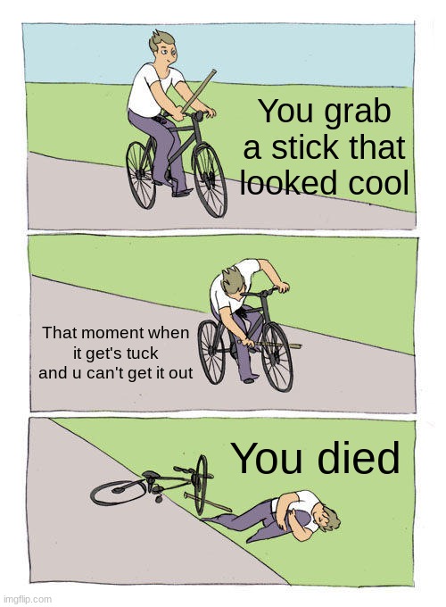 Stick stuck | You grab a stick that looked cool; That moment when it get's tuck and u can't get it out; You died | image tagged in memes,bike fall | made w/ Imgflip meme maker