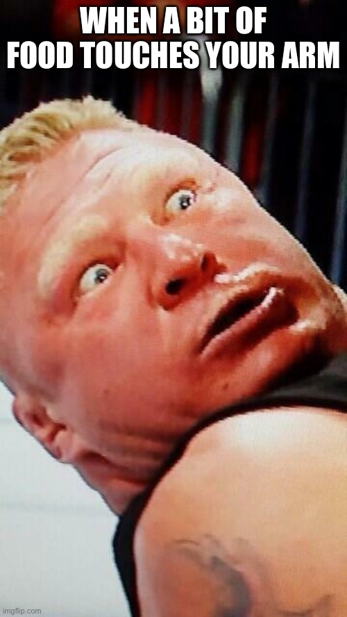 wwe brock lesnar | WHEN A BIT OF FOOD TOUCHES YOUR ARM | image tagged in wwe brock lesnar | made w/ Imgflip meme maker