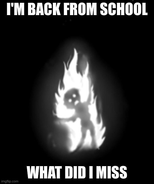 chara burning | I'M BACK FROM SCHOOL; WHAT DID I MISS | image tagged in chara burning | made w/ Imgflip meme maker