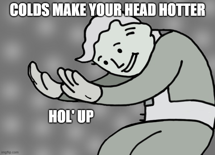 Wait a minute | COLDS MAKE YOUR HEAD HOTTER; HOL' UP | image tagged in hol up | made w/ Imgflip meme maker