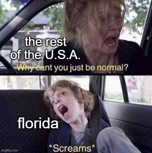 Why Can't You Just Be Normal | the rest of the U.S.A. florida | image tagged in why can't you just be normal | made w/ Imgflip meme maker
