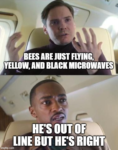Microwave bee | BEES ARE JUST FLYING, YELLOW, AND BLACK MICROWAVES; HE'S OUT OF LINE BUT HE'S RIGHT | image tagged in out of line but he's right | made w/ Imgflip meme maker