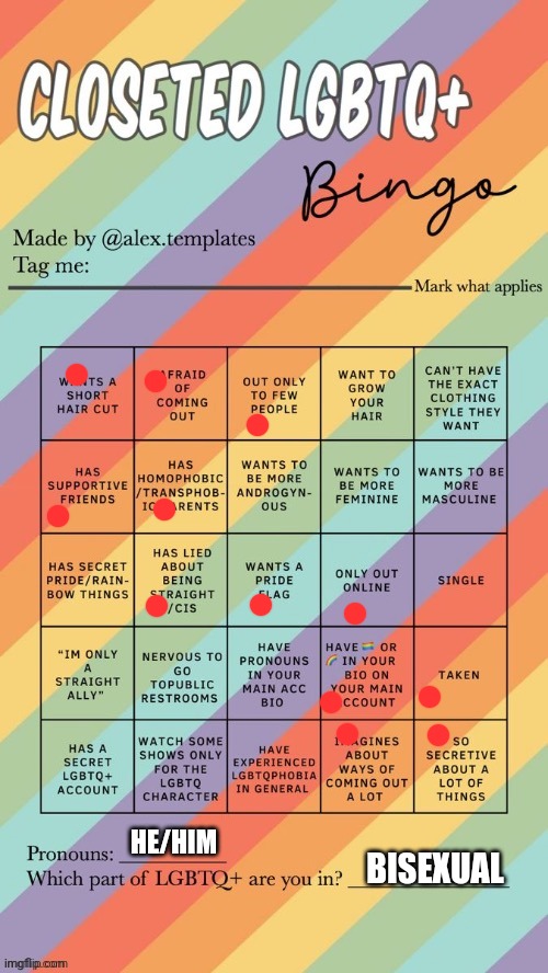 Yup | HE/HIM; BISEXUAL | image tagged in closeted lgbtq bingo | made w/ Imgflip meme maker