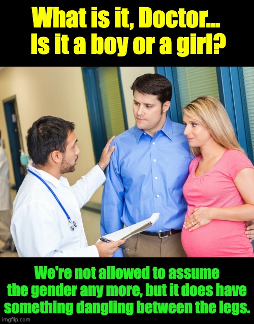 Boy or girl? | What is it, Doctor...  Is it a boy or a girl? We're not allowed to assume the gender any more, but it does have something dangling between the legs. | image tagged in woke | made w/ Imgflip meme maker