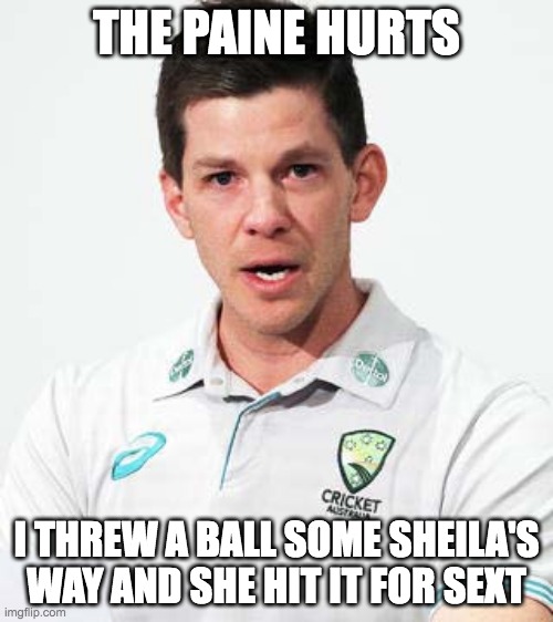 It's Tim Out | THE PAINE HURTS; I THREW A BALL SOME SHEILA'S WAY AND SHE HIT IT FOR SEXT | image tagged in tim in pain,tim paine,cricket,australia | made w/ Imgflip meme maker