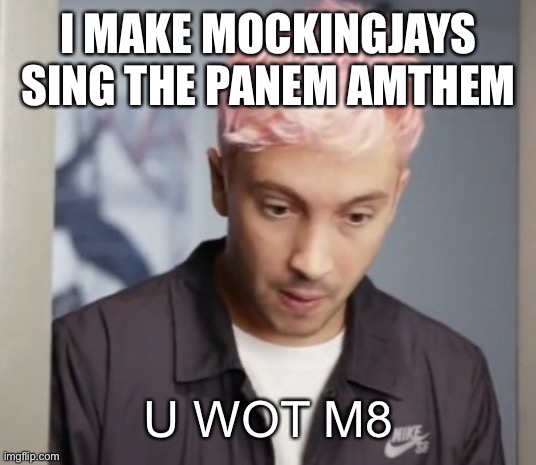 Tyler Joseph u wot m8 | I MAKE MOCKINGJAYS SING THE PANEM ANTHEM | image tagged in typed joseph u wot m8 | made w/ Imgflip meme maker