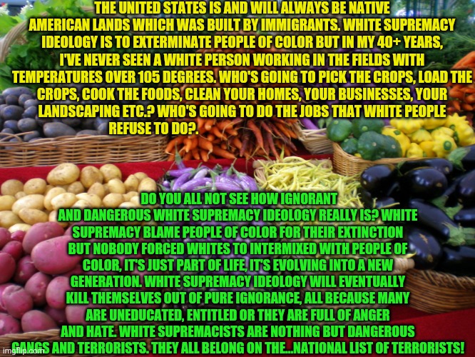 Farmers' market colors | THE UNITED STATES IS AND WILL ALWAYS BE NATIVE AMERICAN LANDS WHICH WAS BUILT BY IMMIGRANTS. WHITE SUPREMACY IDEOLOGY IS TO EXTERMINATE PEOPLE OF COLOR BUT IN MY 40+ YEARS, I'VE NEVER SEEN A WHITE PERSON WORKING IN THE FIELDS WITH TEMPERATURES OVER 105 DEGREES. WHO'S GOING TO PICK THE CROPS, LOAD THE CROPS, COOK THE FOODS, CLEAN YOUR HOMES, YOUR BUSINESSES, YOUR LANDSCAPING ETC.? WHO'S GOING TO DO THE JOBS THAT WHITE PEOPLE REFUSE TO DO?. DO YOU ALL NOT SEE HOW IGNORANT AND DANGEROUS WHITE SUPREMACY IDEOLOGY REALLY IS? WHITE SUPREMACY BLAME PEOPLE OF COLOR FOR THEIR EXTINCTION BUT NOBODY FORCED WHITES TO INTERMIXED WITH PEOPLE OF COLOR, IT'S JUST PART OF LIFE, IT'S EVOLVING INTO A NEW GENERATION. WHITE SUPREMACY IDEOLOGY WILL EVENTUALLY KILL THEMSELVES OUT OF PURE IGNORANCE, ALL BECAUSE MANY ARE UNEDUCATED, ENTITLED OR THEY ARE FULL OF ANGER AND HATE. WHITE SUPREMACISTS ARE NOTHING BUT DANGEROUS GANGS AND TERRORISTS. THEY ALL BELONG ON THE...NATIONAL LIST OF TERRORISTS! | image tagged in farmers' market colors | made w/ Imgflip meme maker