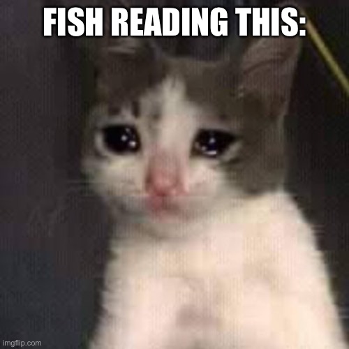 FISH READING THIS: | made w/ Imgflip meme maker