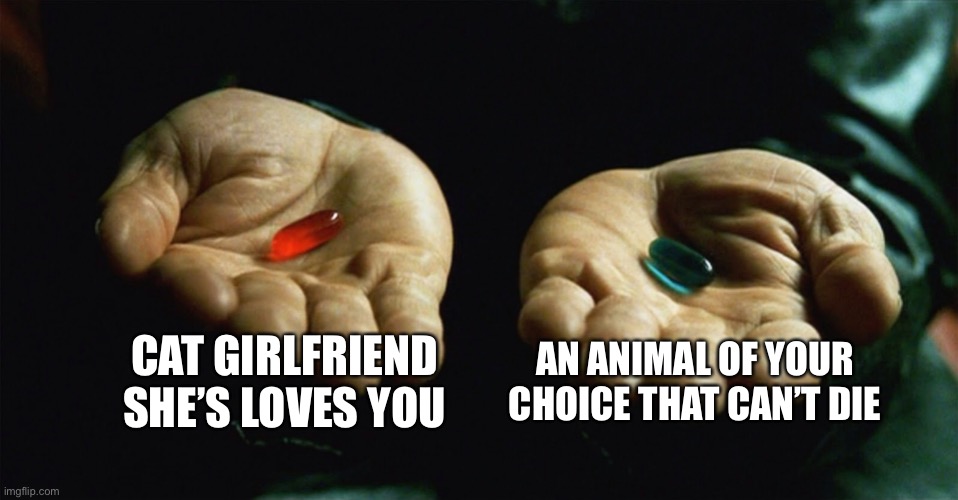 Red pill blue pill | CAT GIRLFRIEND SHE’S LOVES YOU; AN ANIMAL OF YOUR CHOICE THAT CAN’T DIE | image tagged in red pill blue pill | made w/ Imgflip meme maker