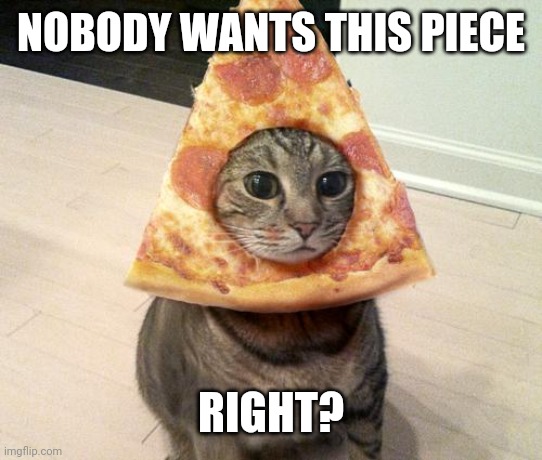 pizza cat | NOBODY WANTS THIS PIECE; RIGHT? | image tagged in pizza cat | made w/ Imgflip meme maker