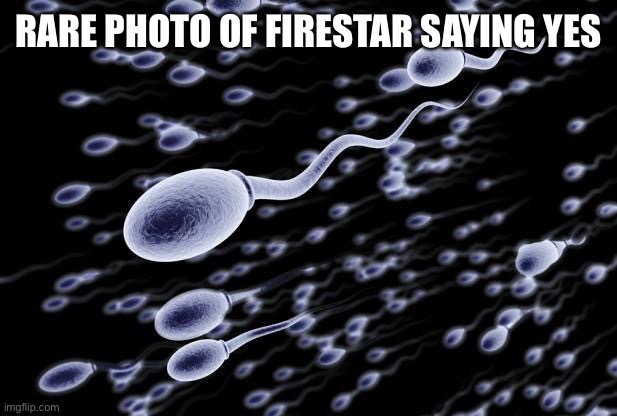 Some get it | RARE PHOTO OF FIRESTAR SAYING YES | image tagged in sperm swimming | made w/ Imgflip meme maker