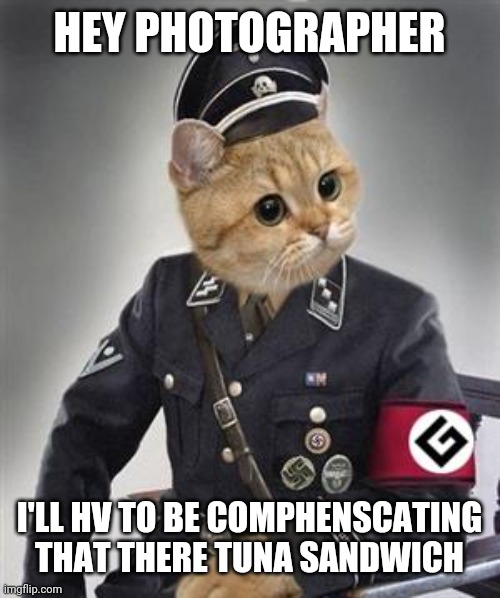 Grammar Nazi Cat | HEY PHOTOGRAPHER; I'LL HV TO BE COMPHENSCATING THAT THERE TUNA SANDWICH | image tagged in grammar nazi cat | made w/ Imgflip meme maker