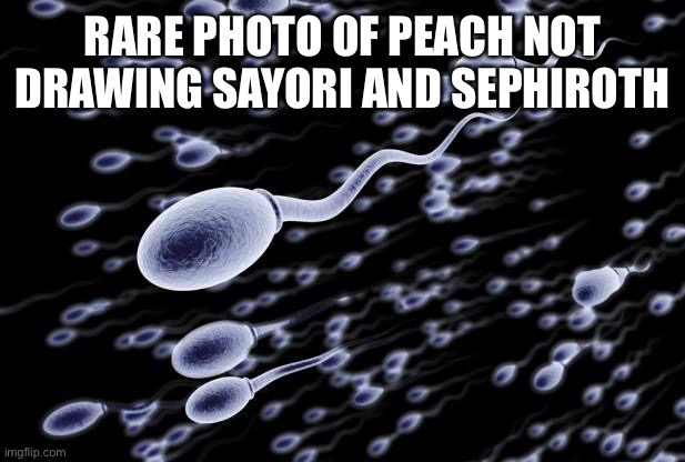 sperm swimming | RARE PHOTO OF PEACH NOT DRAWING SAYORI AND SEPHIROTH | image tagged in sperm swimming | made w/ Imgflip meme maker