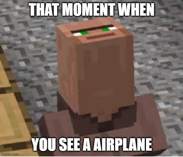 standard meme | THAT MOMENT WHEN; YOU SEE A AIRPLANE | image tagged in minecraft villager looking up | made w/ Imgflip meme maker
