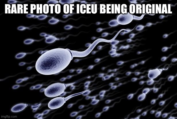 sperm swimming | RARE PHOTO OF ICEU BEING ORIGINAL | image tagged in sperm swimming | made w/ Imgflip meme maker
