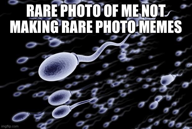 sperm swimming | RARE PHOTO OF ME NOT MAKING RARE PHOTO MEMES | image tagged in sperm swimming | made w/ Imgflip meme maker