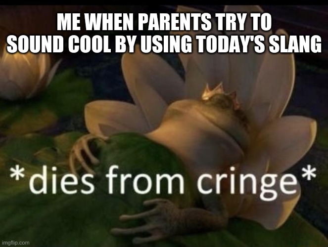 Me when dead by cringe | ME WHEN PARENTS TRY TO SOUND COOL BY USING TODAY'S SLANG | image tagged in dies from cringe,parents | made w/ Imgflip meme maker