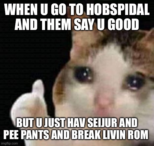 After hospital | WHEN U GO TO HOBSPIDAL AND THEM SAY U GOOD; BUT U JUST HAV SEIJUR AND PEE PANTS AND BREAK LIVIN ROM | image tagged in sad thumbs up cat | made w/ Imgflip meme maker