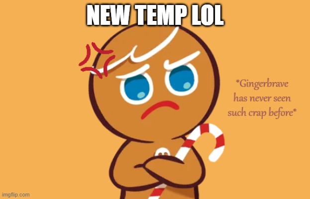 *Gingerbrave has never seen such crap before* | NEW TEMP LOL | image tagged in gingerbrave has never seen such crap before | made w/ Imgflip meme maker