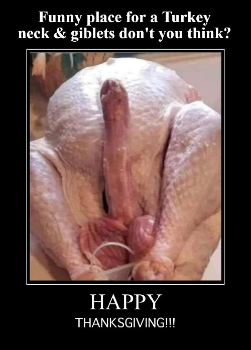 Funny place for a Turkey neck & giblets don't you think? | image tagged in happy thanksgiving,turkey day,giblets | made w/ Imgflip meme maker