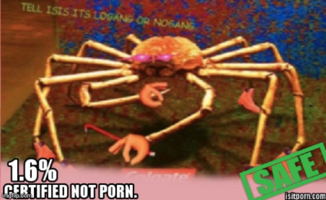 No porn in my Christian Minecraft server | made w/ Imgflip meme maker