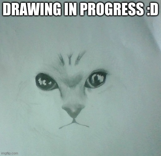 DRAWING IN PROGRESS :D | made w/ Imgflip meme maker