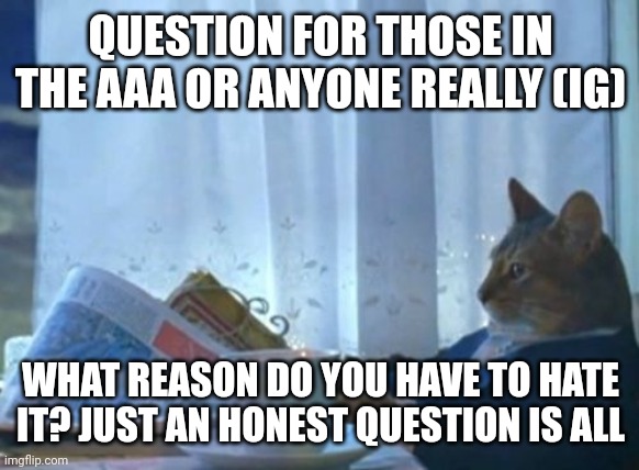 I don't like hentai, so yea | QUESTION FOR THOSE IN THE AAA OR ANYONE REALLY (IG); WHAT REASON DO YOU HAVE TO HATE IT? JUST AN HONEST QUESTION IS ALL | image tagged in memes,i should buy a boat cat | made w/ Imgflip meme maker