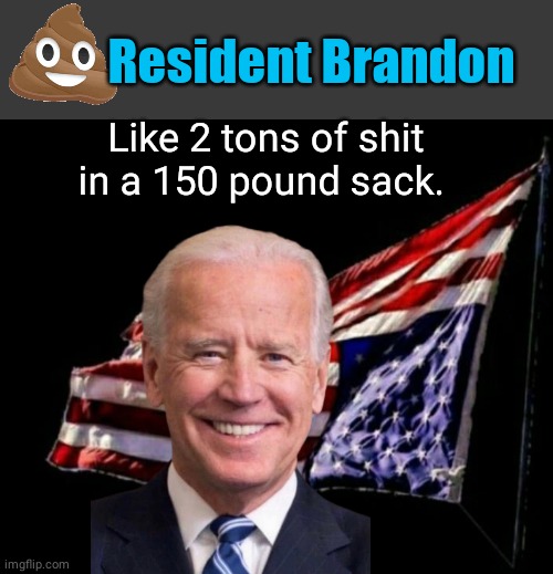 Resident Brandon 150 lb sack | Resident Brandon; Like 2 tons of shit in a 150 pound sack. | image tagged in blank no watermark | made w/ Imgflip meme maker