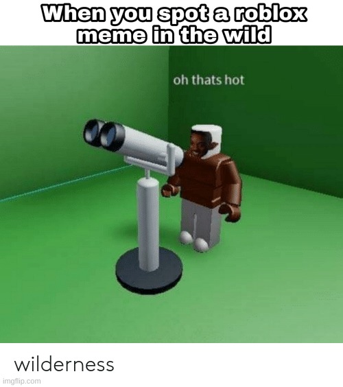 Roblox wild | image tagged in wild man | made w/ Imgflip meme maker