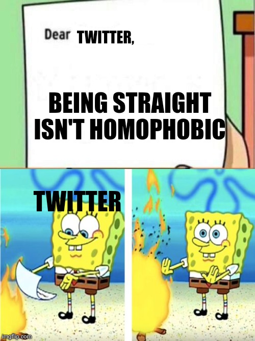 TWITTER, BEING STRAIGHT ISN'T HOMOPHOBIC; TWITTER | made w/ Imgflip meme maker