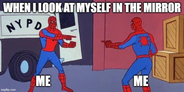 The irror | WHEN I LOOK AT MYSELF IN THE MIRROR; ME                                    ME | image tagged in spider man double | made w/ Imgflip meme maker