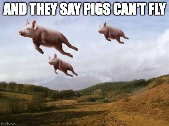 Pigs Fly | AND THEY SAY PIGS CAN'T FLY | image tagged in pigs fly | made w/ Imgflip meme maker