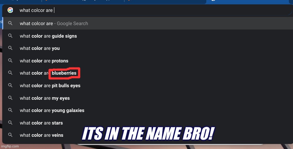 Wth | ITS IN THE NAME BRO! | image tagged in blueberry,lol | made w/ Imgflip meme maker