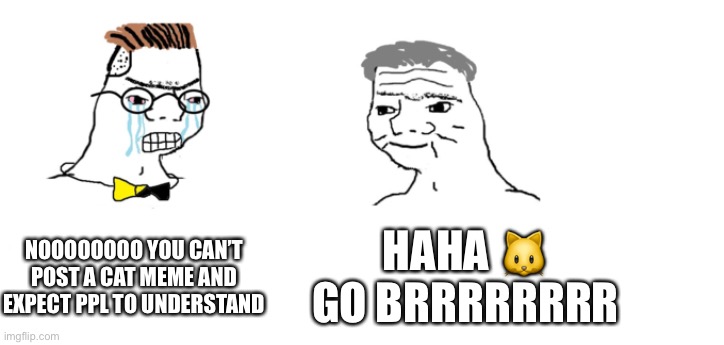 nooo haha go brrr | NOOOOOOOO YOU CAN’T POST A CAT MEME AND EXPECT PPL TO UNDERSTAND HAHA ? GO BRRRRRRRR | image tagged in nooo haha go brrr | made w/ Imgflip meme maker