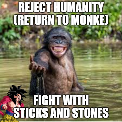 Reject Humanity | REJECT HUMANITY
(RETURN TO MONKE); FIGHT WITH STICKS AND STONES | image tagged in reject humanity | made w/ Imgflip meme maker