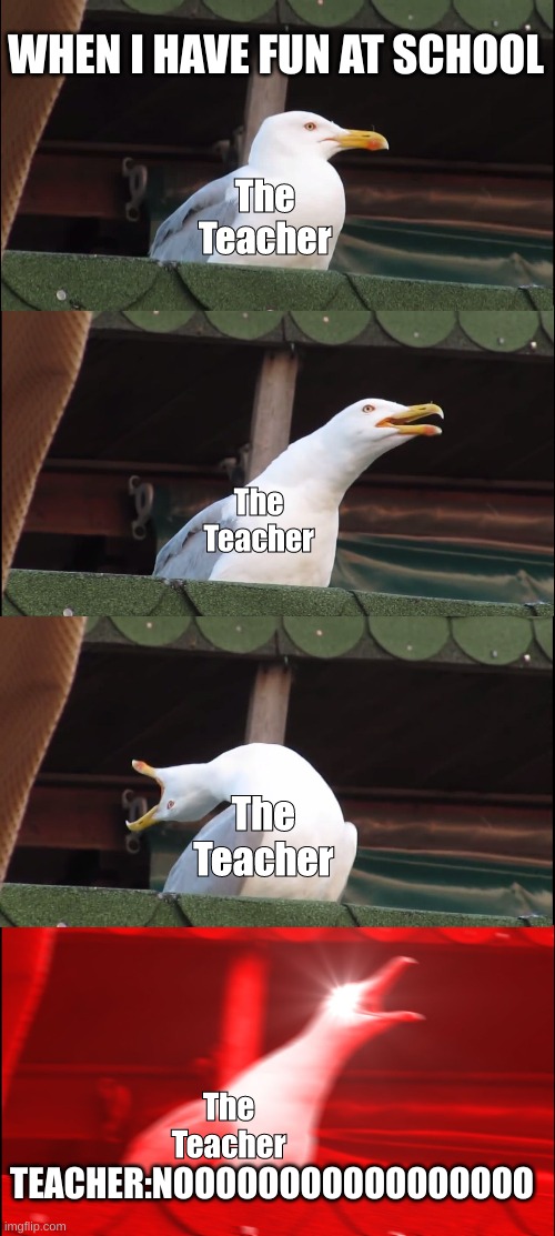 Inhaling Seagull | WHEN I HAVE FUN AT SCHOOL; The Teacher; The Teacher; The Teacher; The Teacher; TEACHER:NOOOOOOOOOOOOOOOOO | image tagged in memes,inhaling seagull,school meme | made w/ Imgflip meme maker
