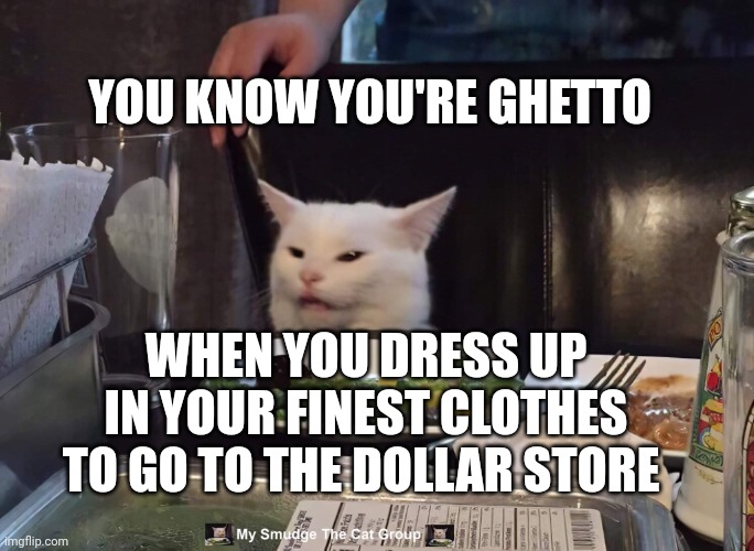 YOU KNOW YOU'RE GHETTO; WHEN YOU DRESS UP IN YOUR FINEST CLOTHES TO GO TO THE DOLLAR STORE | image tagged in smudge the cat | made w/ Imgflip meme maker