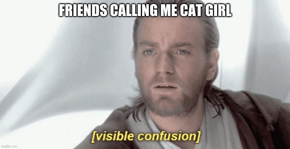 why???? | FRIENDS CALLING ME CAT GIRL | image tagged in obi-wan visible confusion | made w/ Imgflip meme maker