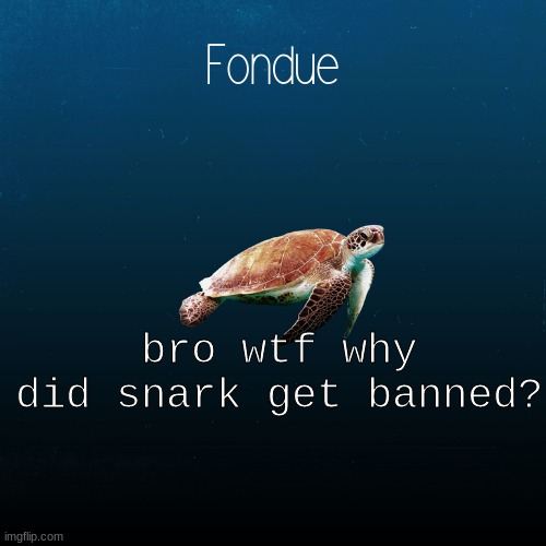 hmmm? how? | bro wtf why did snark get banned? | image tagged in turtle template-fondue | made w/ Imgflip meme maker