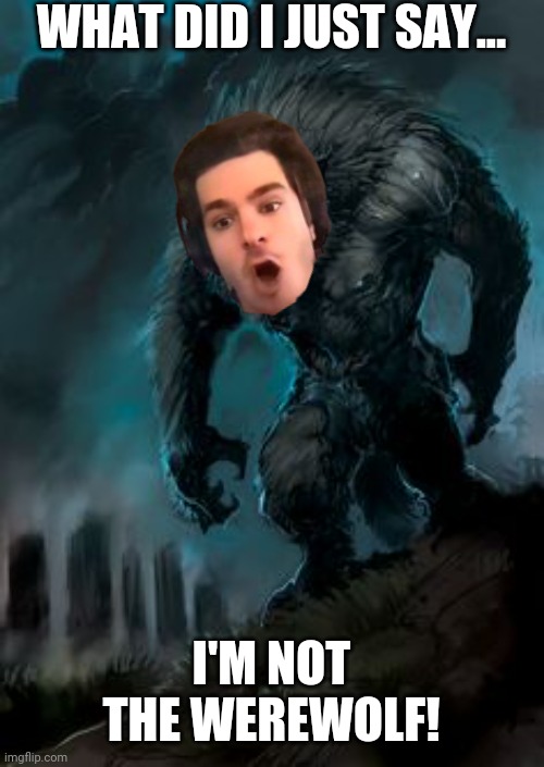 Werewolf meme | WHAT DID I JUST SAY... I'M NOT THE WEREWOLF! | image tagged in werewolf,memes,funny,andrew garfield,marvel,spiderman | made w/ Imgflip meme maker